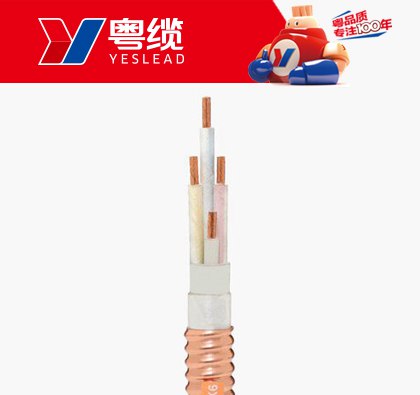 �����ʾ�Ե����YTTW